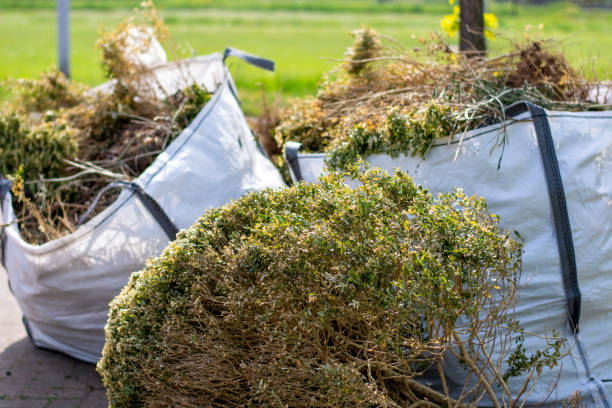 Best Construction Debris Removal  in Dalton, GA